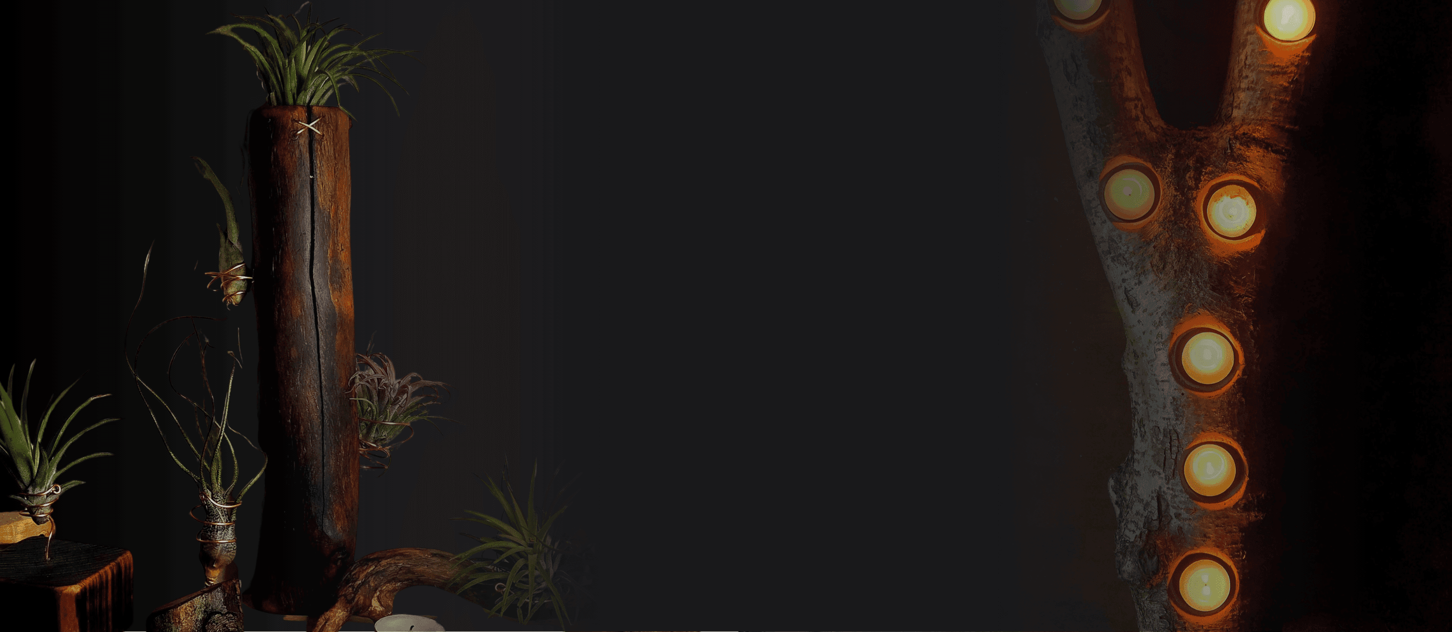 Air plant holders, wooden wall art and rustic tealight holders handcrafted from foraged, coppiced and reclaimed wood in the Cotswolds. Sustainable home decor with a rustic, natural aesthetic.