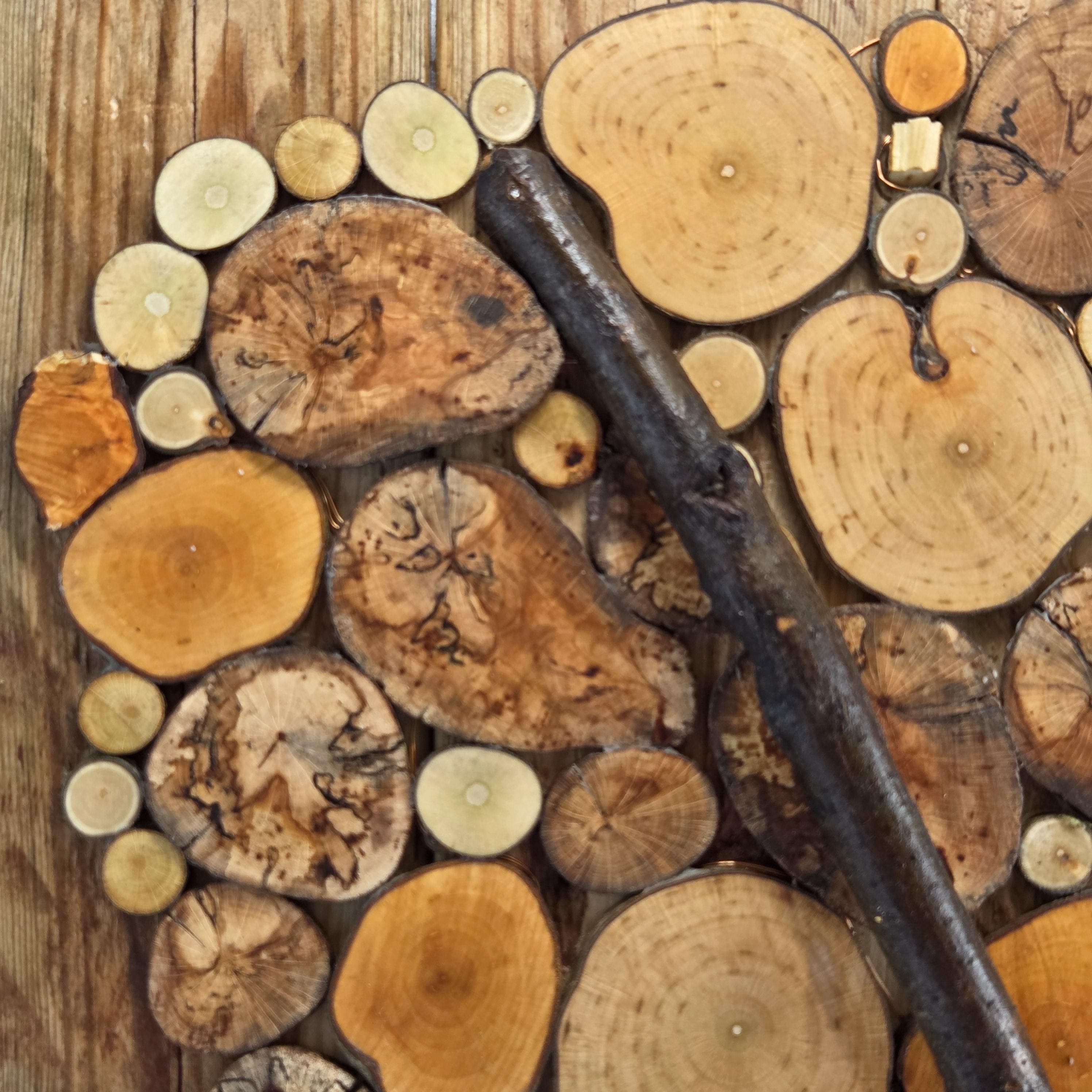 Rustic Wood Slice Wall Art, made in Wotton-under-Edge, Gloucestershire, by Bough & Burrow - View 3