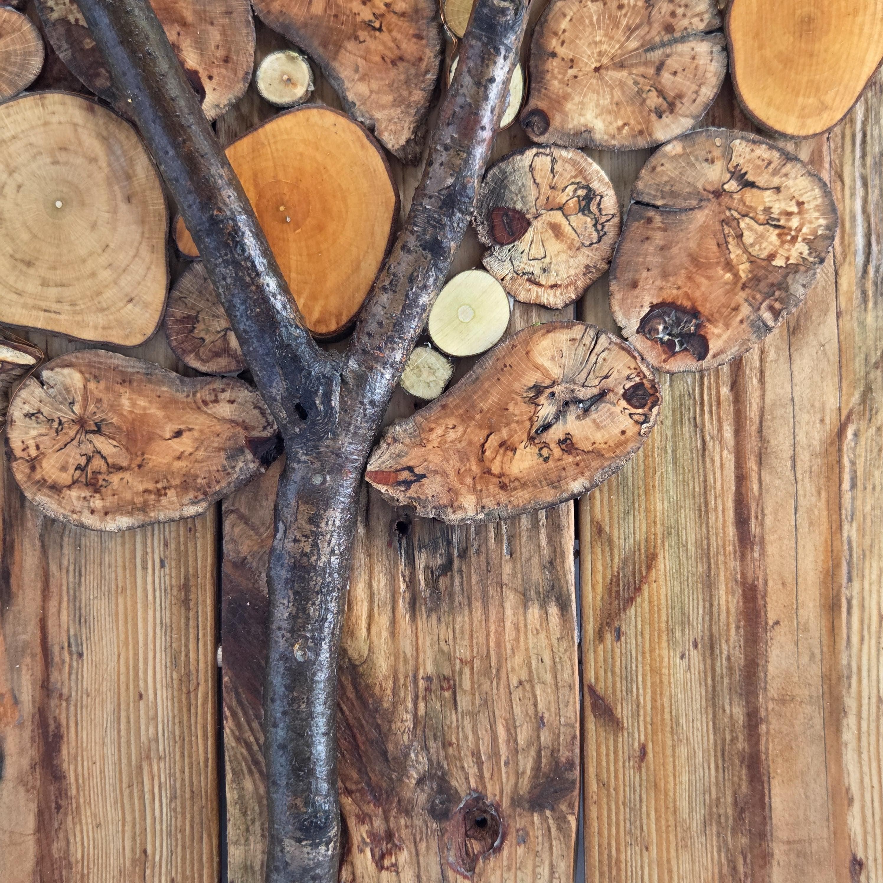 Rustic Wood Slice Wall Art, made in Wotton-under-Edge, Gloucestershire, by Bough & Burrow - View 5