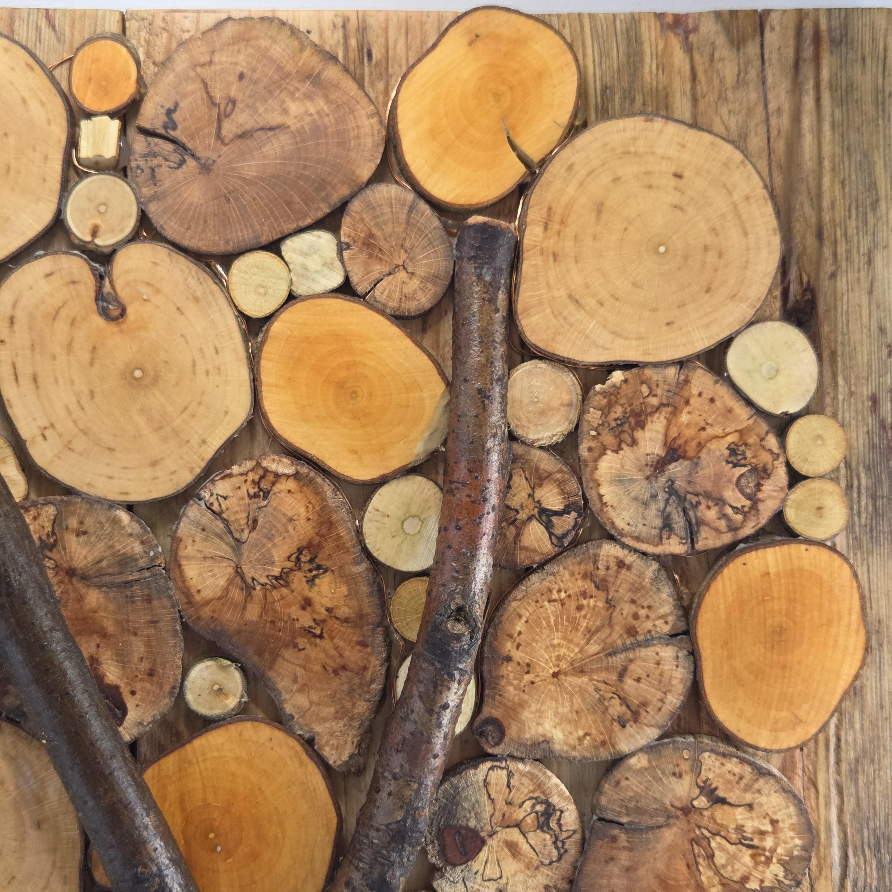 Rustic Wood Slice Wall Art, made in Wotton-under-Edge, Gloucestershire, by Bough & Burrow - View 4