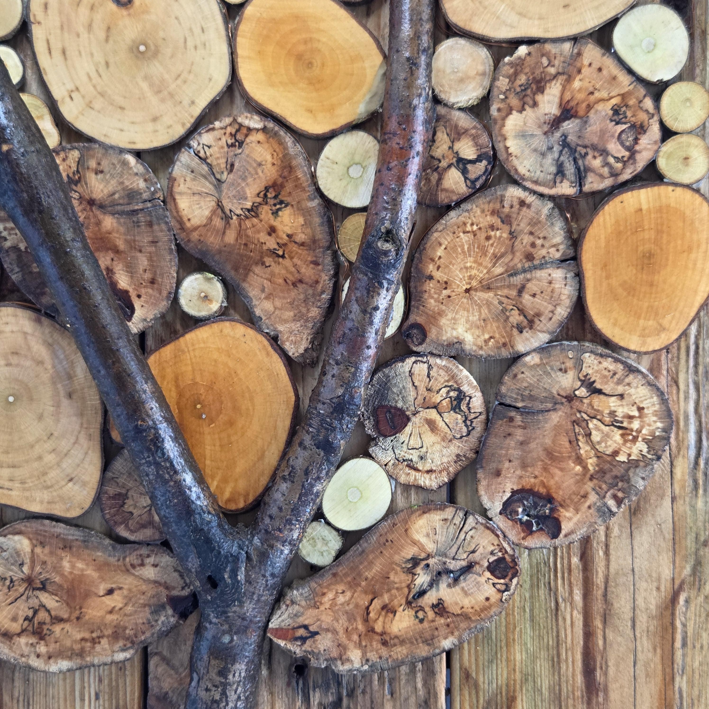 Rustic Wood Slice Wall Art, made in Wotton-under-Edge, Gloucestershire, by Bough & Burrow - View 7