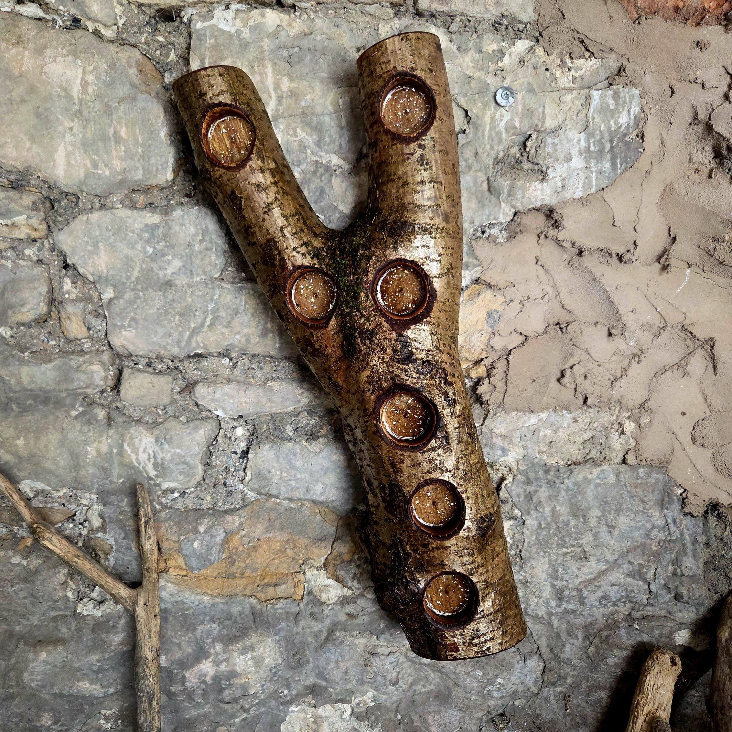Rustic Forked Hazel Tealight Holder with Fairy Lights, Hazel, made in Wotton-under-Edge, Gloucestershire, by Bough & Burrow