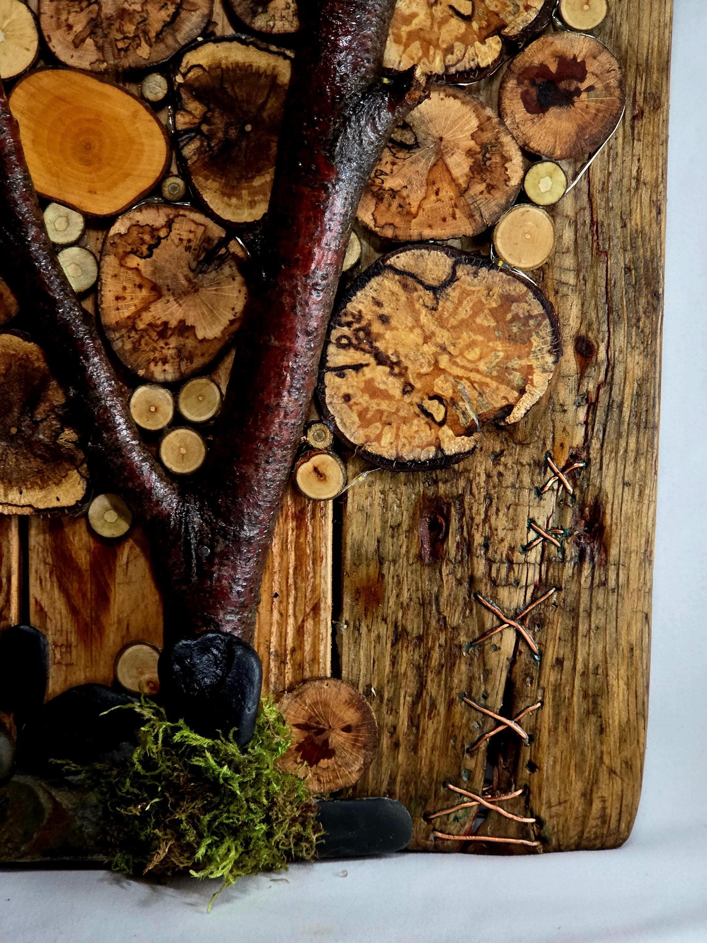 Rustic Wood Slice Wall Art, made in Wotton-under-Edge, Gloucestershire, by Bough & Burrow - View 4