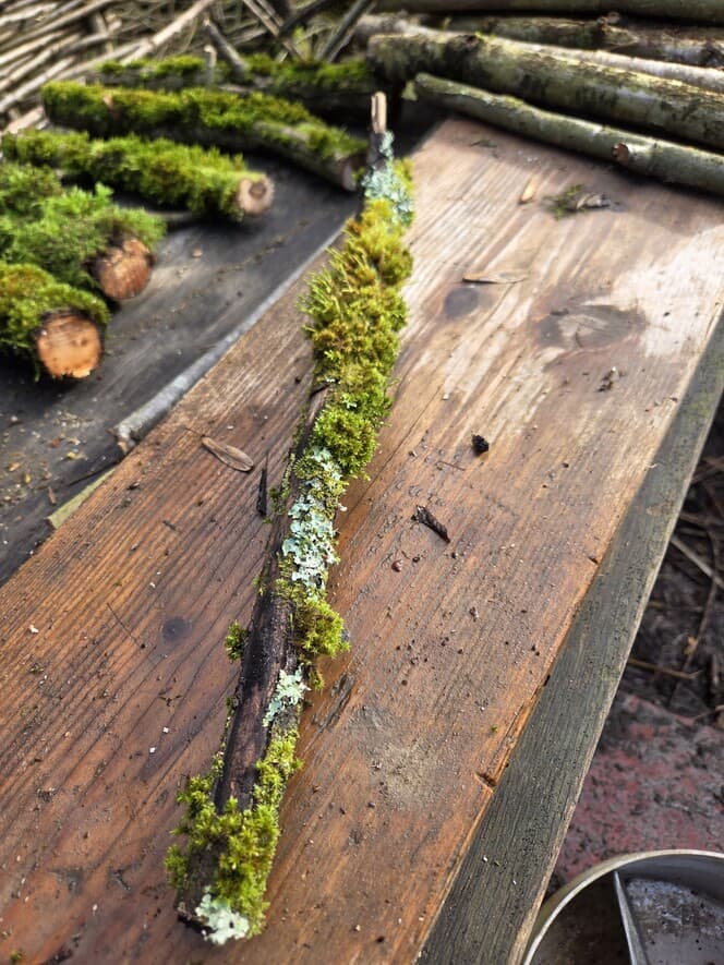 Moss Covered Willow Log with Lichen - Partially Covered, 40cm x 54mm, Willow, Moss, Lichen, Willow, Terrarium, made in Wotton-under-Edge, Gloucestershire, by Bough & Burrow - View 2