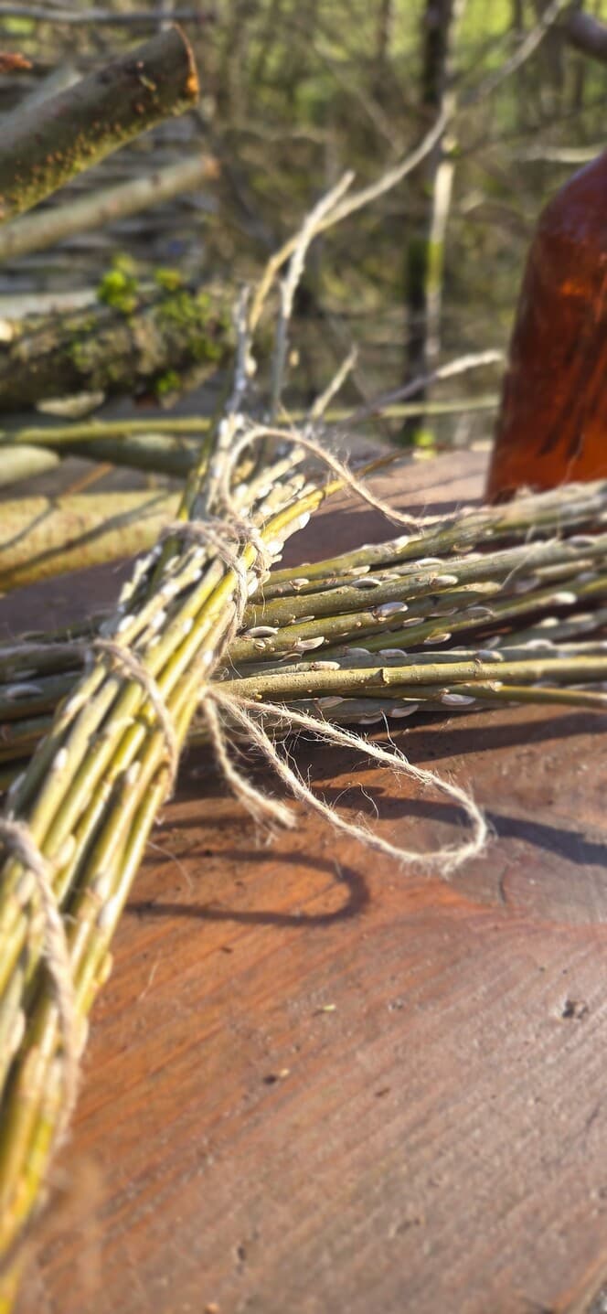 Willow Shoot Bundle with Silver Buds, Willow, Willow, made in Wotton-under-Edge, Gloucestershire, by Bough & Burrow - Main image